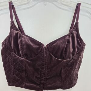 Cassini Intimates Purple Velvet Whimsigoth Fairy Punk Bustier Bra